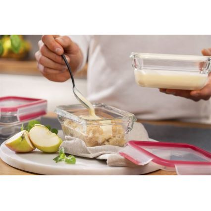 Tefal - Recipient pentru alimente MSEAL GLASS, 0,45 l, roșu/sticlă