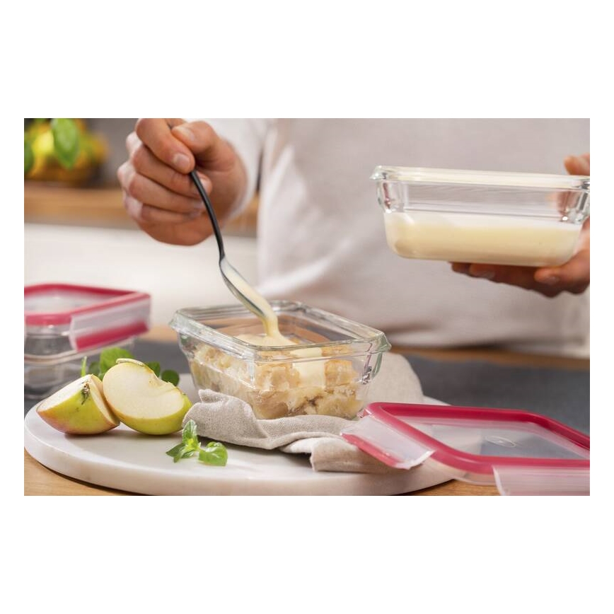 Tefal - Recipient pentru alimente MSEAL GLASS, 0,45 l, roșu/sticlă
