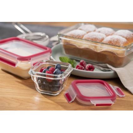 Tefal - Recipient pentru alimente MSEAL GLASS, 0,45 l, roșu/sticlă