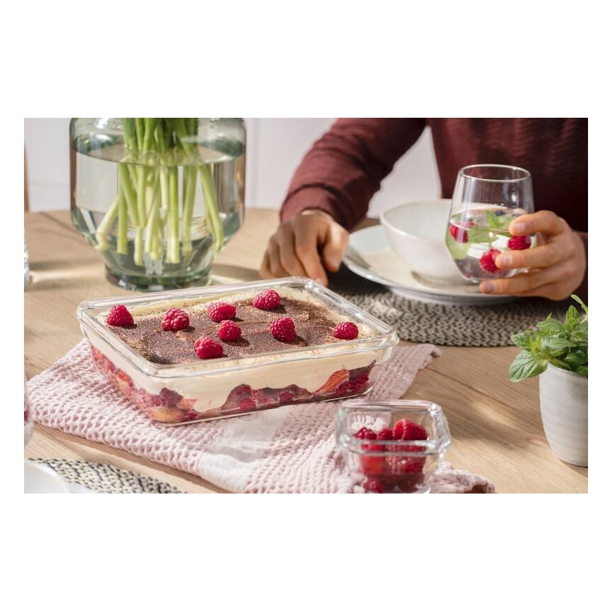 Tefal - Recipient pentru alimente MSEAL GLASS, 3 l, roșu/sticlă