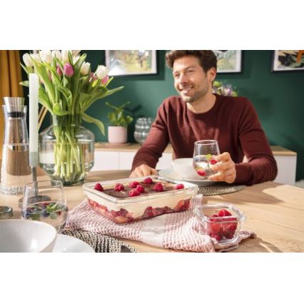 Tefal - Recipient pentru alimente MSEAL GLASS, 3 l, roșu/sticlă