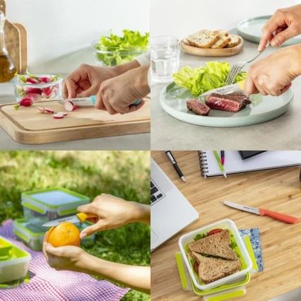 Tefal - Set de 3 cuțite din oțel inoxidabil COLORFOOD