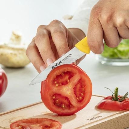 Tefal - Set de 3 cuțite din oțel inoxidabil COLORFOOD