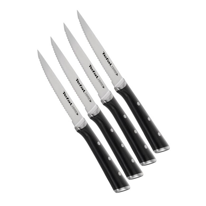 Tefal - Set de 4 cuțite pentru friptură ICE FORCE, lamă 11 cm, oțel inoxidabil, crom lucios/negru