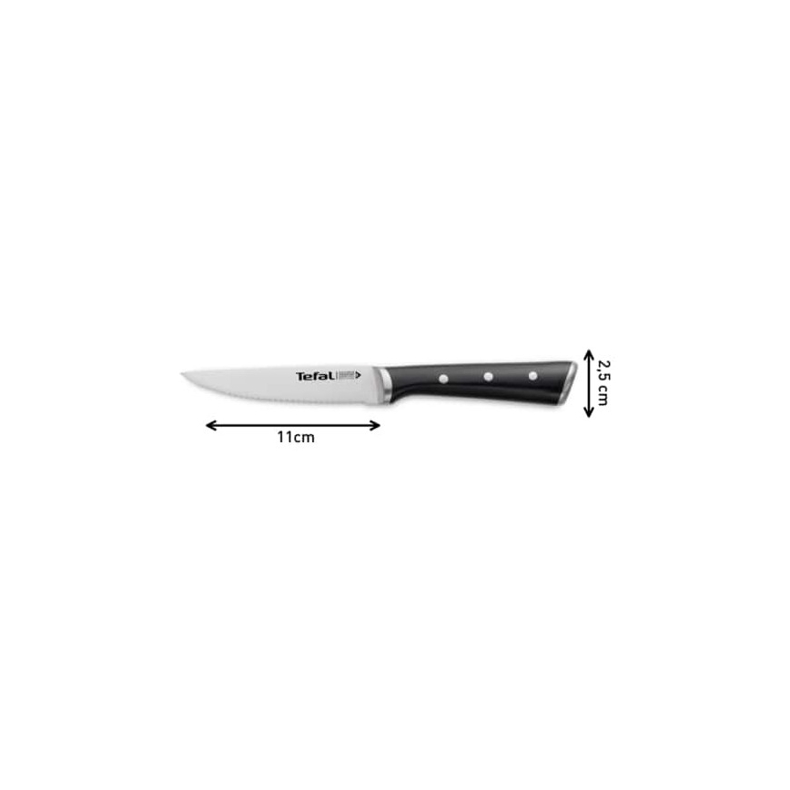 Tefal - Set de 4 cuțite pentru friptură ICE FORCE, lamă 11 cm, oțel inoxidabil, crom lucios/negru