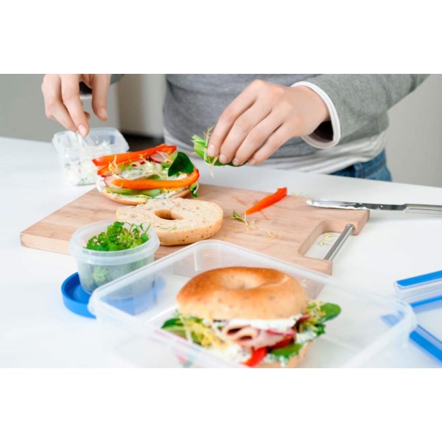 Tefal - Set de 5 recipiente pentru alimente MASTER SEAL FRESH, albastru