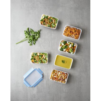 Tefal - Set de 6 cutii pentru alimente 0,8 l MASTER SEAL FRESH, albastre