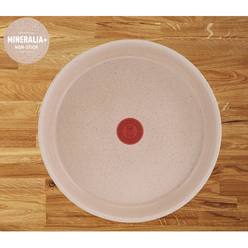 Tefal - Set de vase 6 piese INGENIO DELIGHT