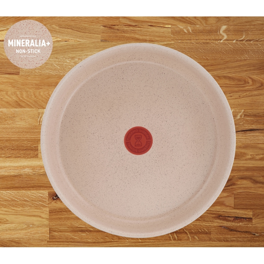 Tefal - Set de vase Ingenio Delight, 17 piese