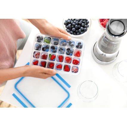 Tefal - Tavă pentru gheață MASTER SEAL, 24 de cuburi, albastru