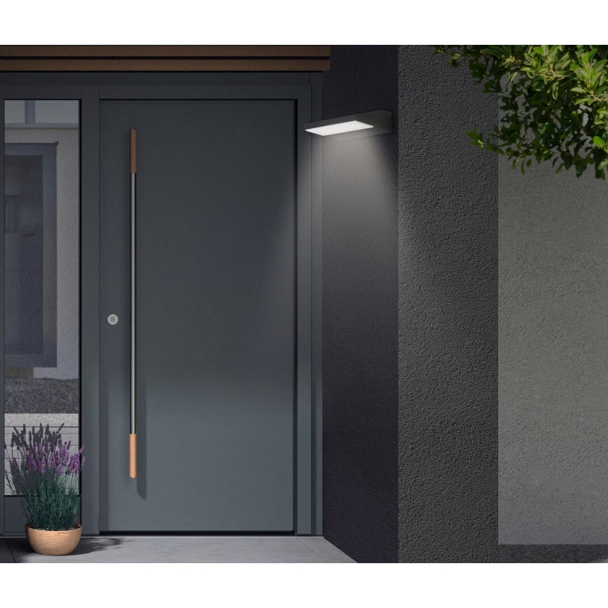 Telefunken - Aplică de perete pentru exterior LED/10W/230V IP44 negru