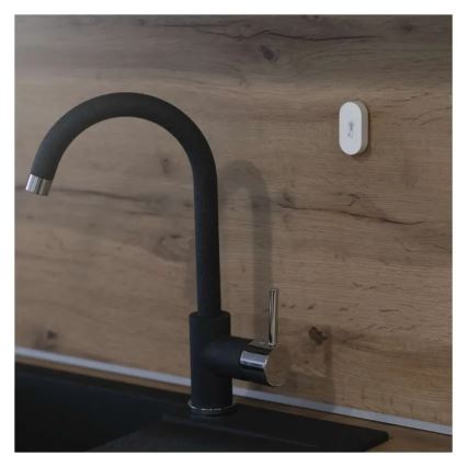 Termometru digital fără fir GoSmart 1×CR2032