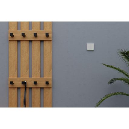 TESLA Smart - Comutator inteligent pentru casă 2P 230V Wi-Fi