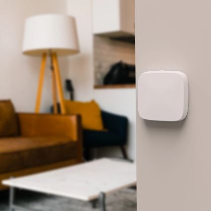 TESLA Smart - Senzor inteligent de temperatură și umiditate 1xCR2032