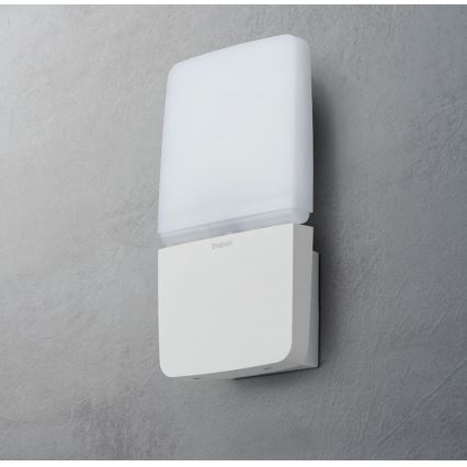 theben - Proiector de perete LED/11W/230V alb IP55