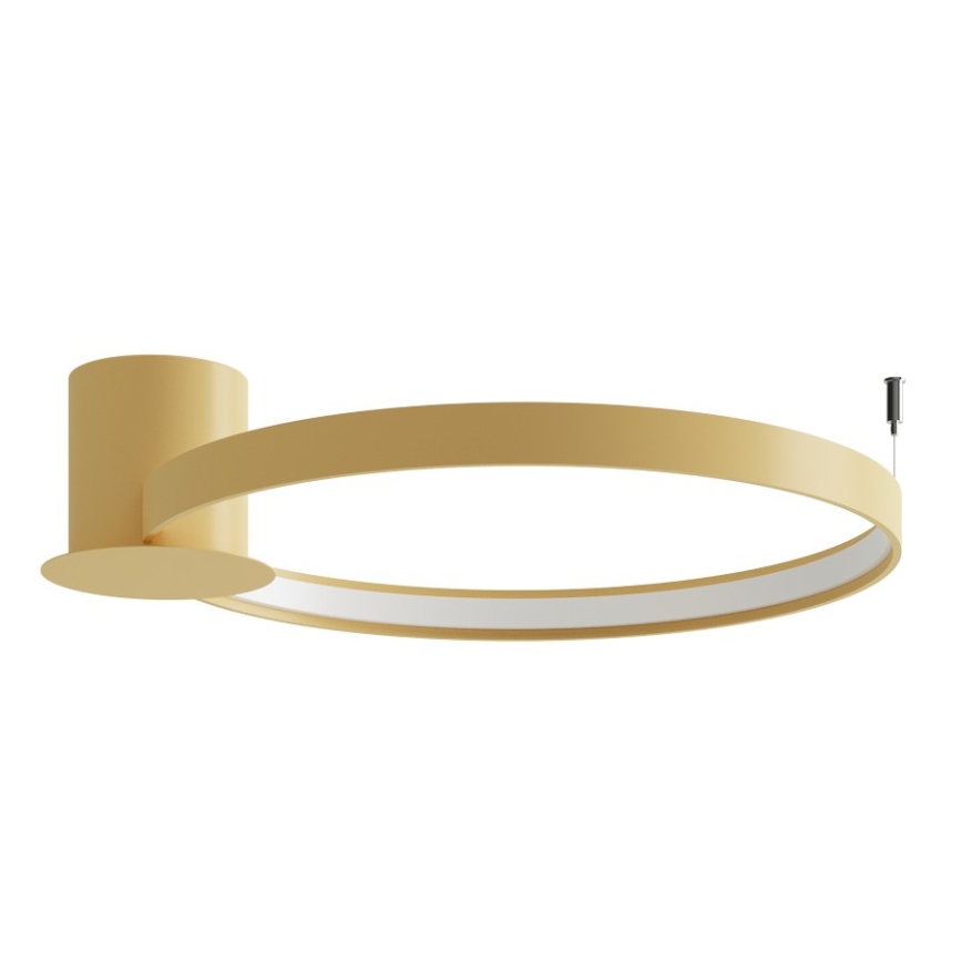 Thoro TH.223 - Plafonieră LED RIO, 30W, 230V, CRI 98, 4000K, Ø 55 cm, finisaj auriu