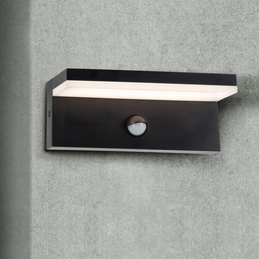 Top Light - Aplica LED de exterior cu senzor ELON LED/10W/230V 4000K IP54