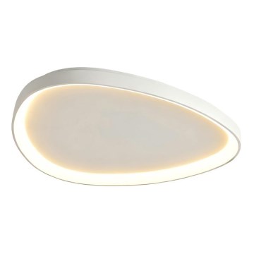 Top Light - Lampă LED de tavan reglabilă ECLIPSE LED/55W/230V 3000-6500K Ø 60 cm albă + telecomandă