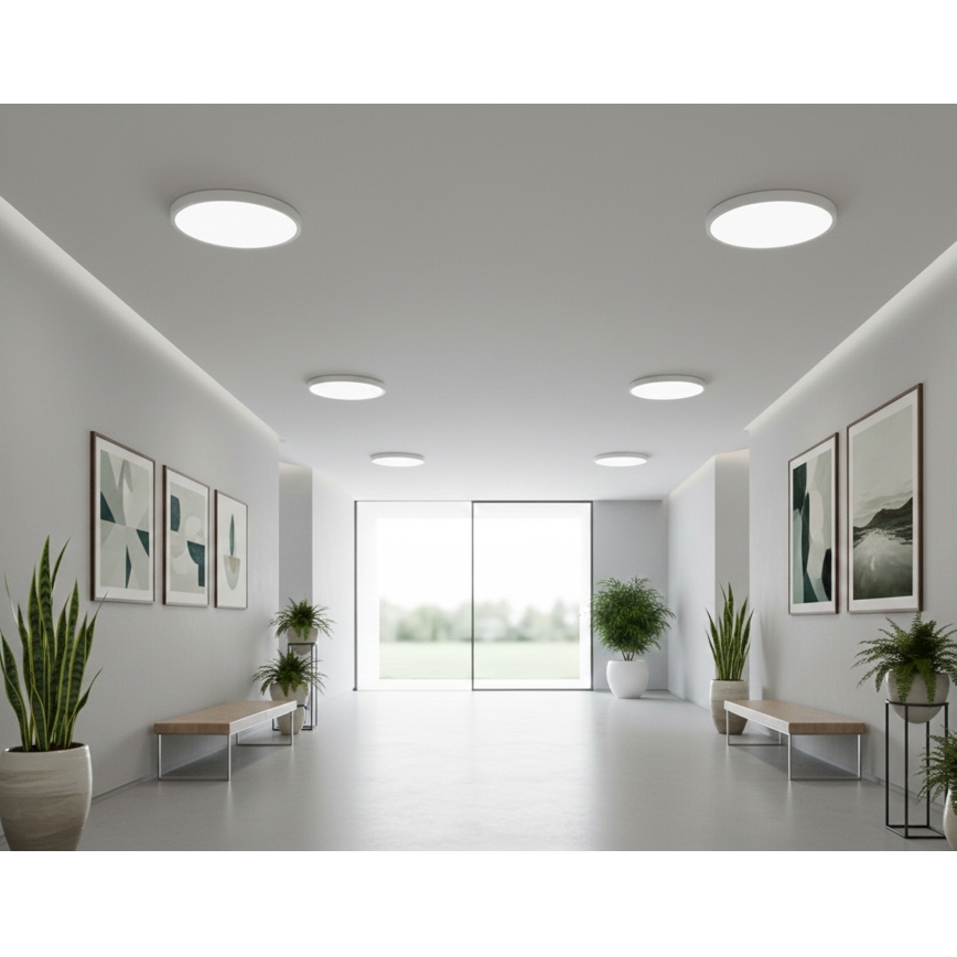Top Light - Plafonieră LED cu senzor de mișcare REVIT LED/12/18/24W/230V 3000/4000/6500K Ø 30 cm albă