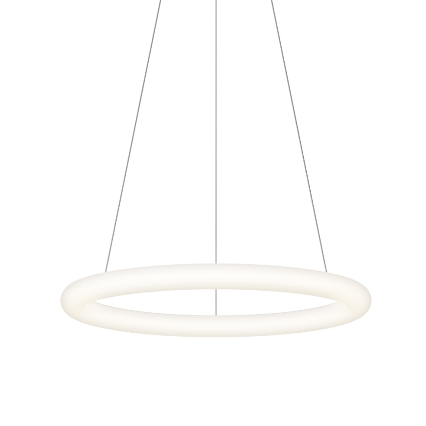 Top Light - Lustră LED reglabilă pe cablu RINGO LED/40W/230V 3000-6500K albă + telecomandă