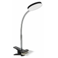 Top Light Lucy KL C - LED Lampa cu clip LUCY LED/5W/230V