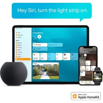 TP-Link - Bandă LED RGBW dimabilă 5 m LED/13W/230V Wi-Fi