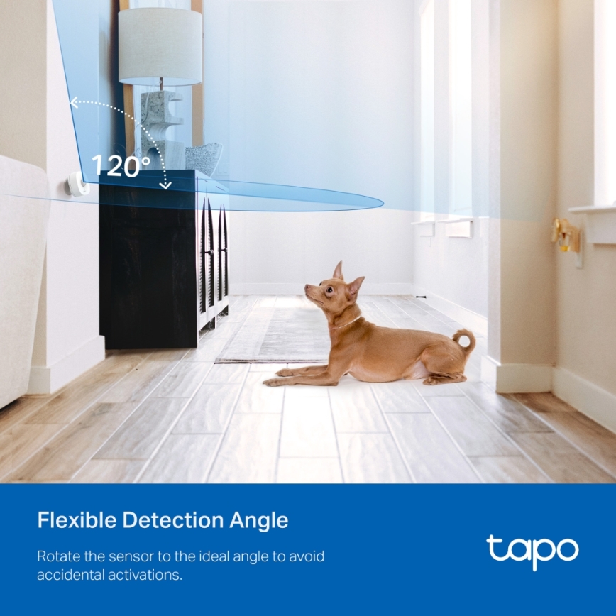 TP-Link - Senzor de mișcare inteligent, 1x CR2450, Wi-Fi