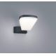 TRIO - Aplică perete exterior LED VOLTURNO LED/5,5W/230V IP54
