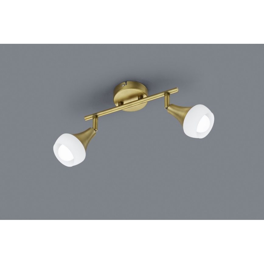 TRIO - Lampă spot TRUMPET 2xE14/40W/230V