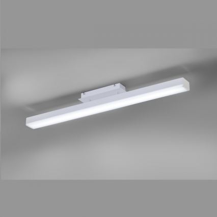 Trio - Lustra LED RGBW cu reglaj de intensitate, montaj pe tavan LIVARO LED/20W/230V 3000-5000K + telecomandă