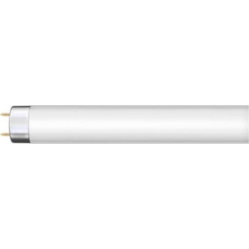 Tub fluorescent G13, 36W, 230V, 120 cm