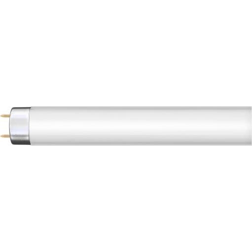 Tub fluorescent G13, 36W, 230V, 120 cm