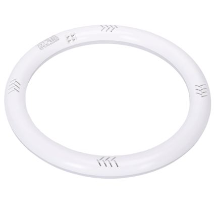 Tub fluorescent LED G10q/17W/230V 6500K - Aigostar
