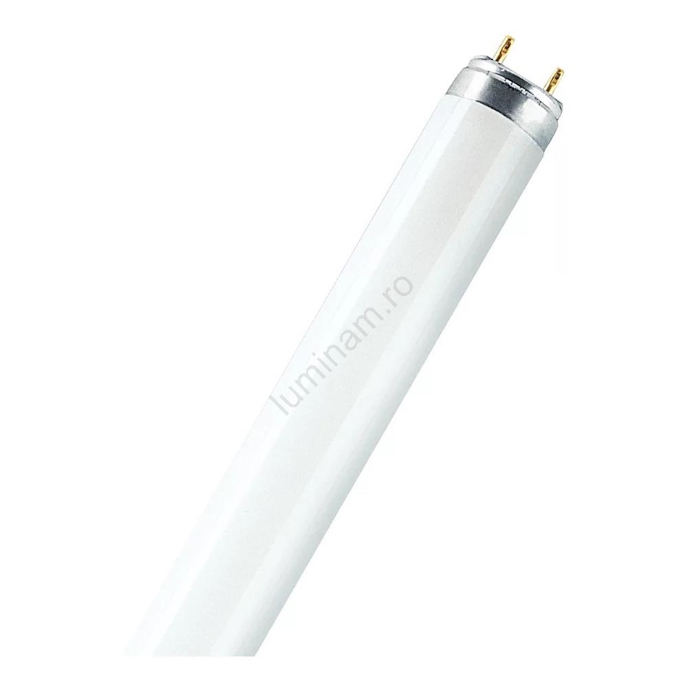 光 Tub fluorescent Osram T8 G13/15W/55V 4000K 45 cm | Luminam