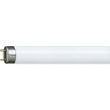 Tub fluorescent Philips G13/30W/230V