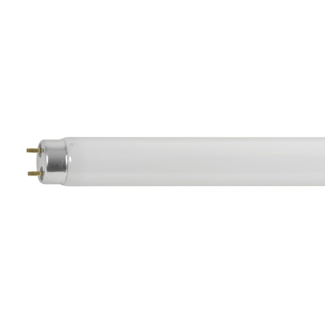 Tub fluorescent T8/58W/230V 150 cm Eglo 12195