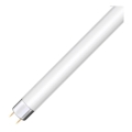 Tub fluorescent T8 G13/15W/90V 6500K