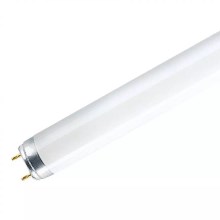 Tub fluorescent T8 G13/18W/230V 6500K 60 cm