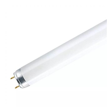 Tub fluorescent T8 G13/18W/230V 6500K 60 cm