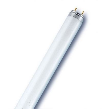 Tub fluorescent T8 G13/18W/230V 6500K 60 cm
