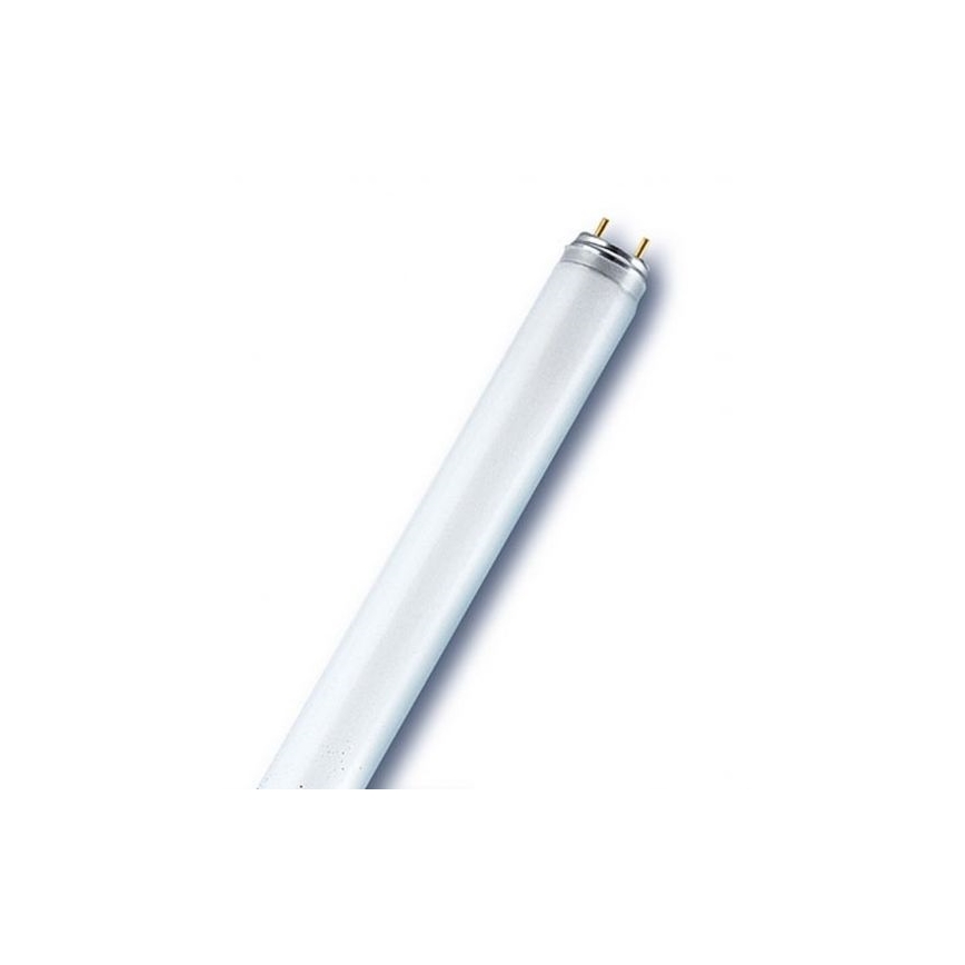 Tub fluorescent T8 G13/18W/230V 6500K 60 cm