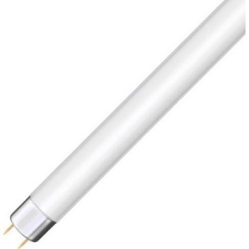 Tub fluorescent T8 G13/36W/103V 4000K 120 cm