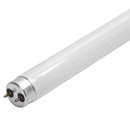 Tub fluorescent UV 10 W, G13, 230 V, 35 cm, pentru capcană de insecte - Brilagi