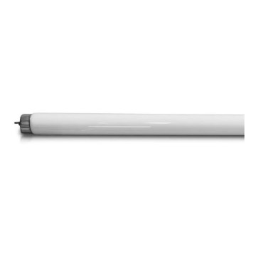 Tub fluorescent UV pentru aparat electric anti-insecte T8 G13/20W/230V 60,5 cm