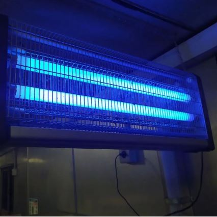 Tub fluorescent UV pentru aparat electric anti-insecte T8 G13/20W/230V 60,5 cm