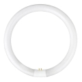 Tub fluorescent YH G10q/28W/230V 6500K - Fulgur 03045 d. 23 cm