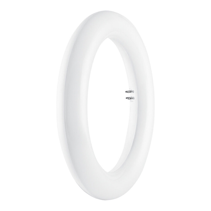 Tub LED fluorescent SUBSTITUBE T9 G10q/12W/230V 6500K d. 20,5 cm Osram