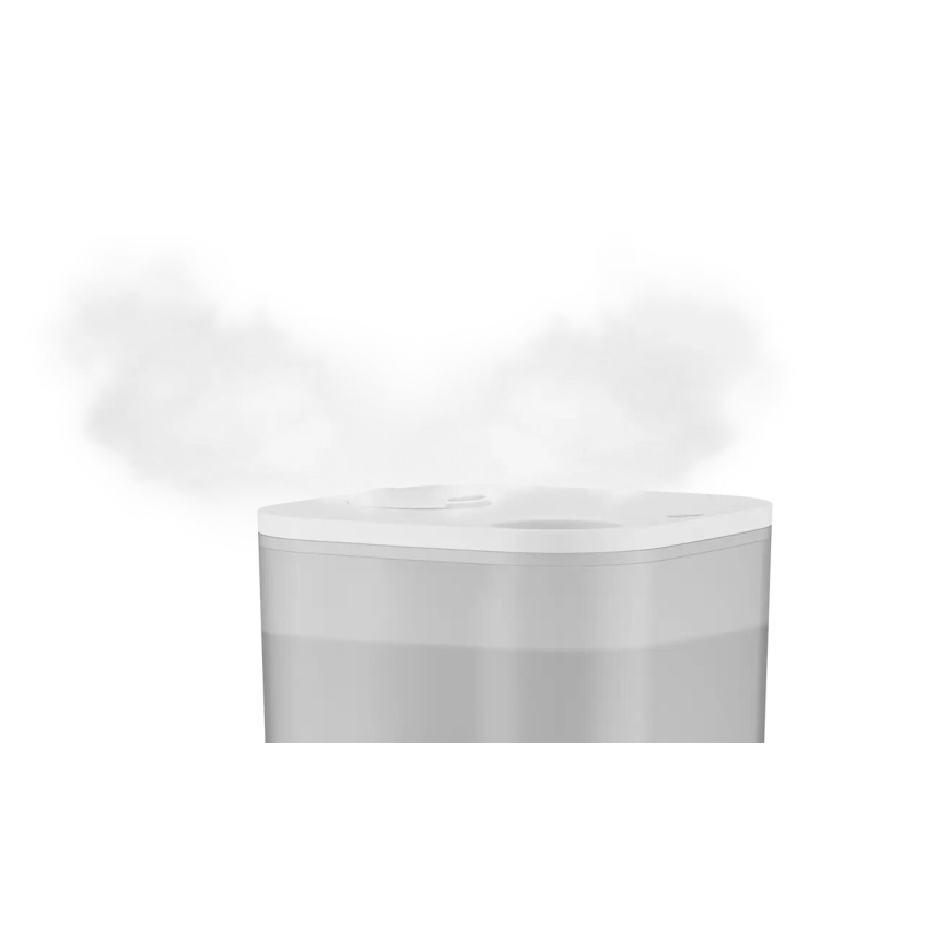 Umidificator Rowenta AQUA BOOST 2,5 l 115W/230V