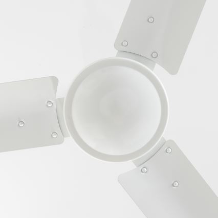 Ventilator de tavan Globo 03806 FERRO