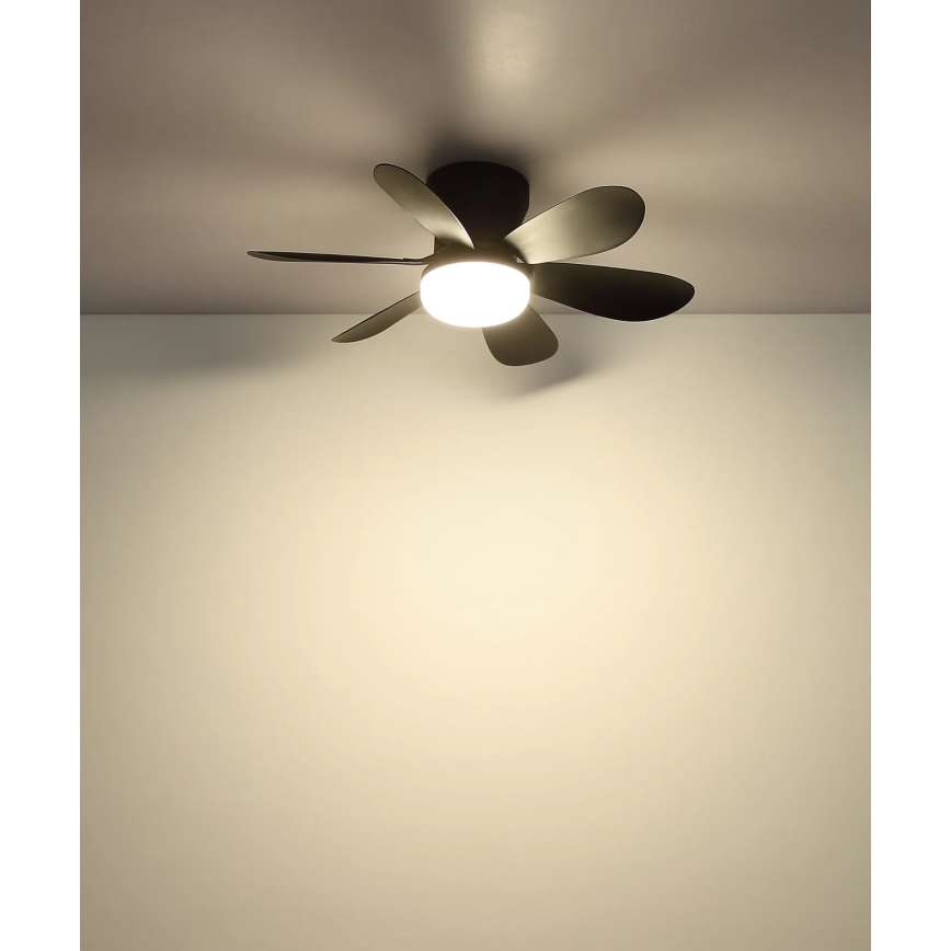 Globo - Ventilator de tavan cu LED dimabil, 5W/230V, 2700-6500K, negru, cu telecomandă